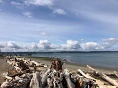 Looking south to the pier over the driftwood.