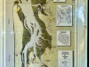 Map of tideland ownership
